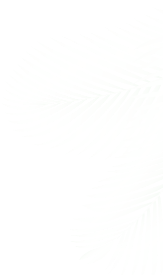 Ellington Eltiera Views